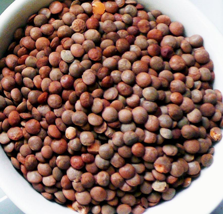 Masoor Dal