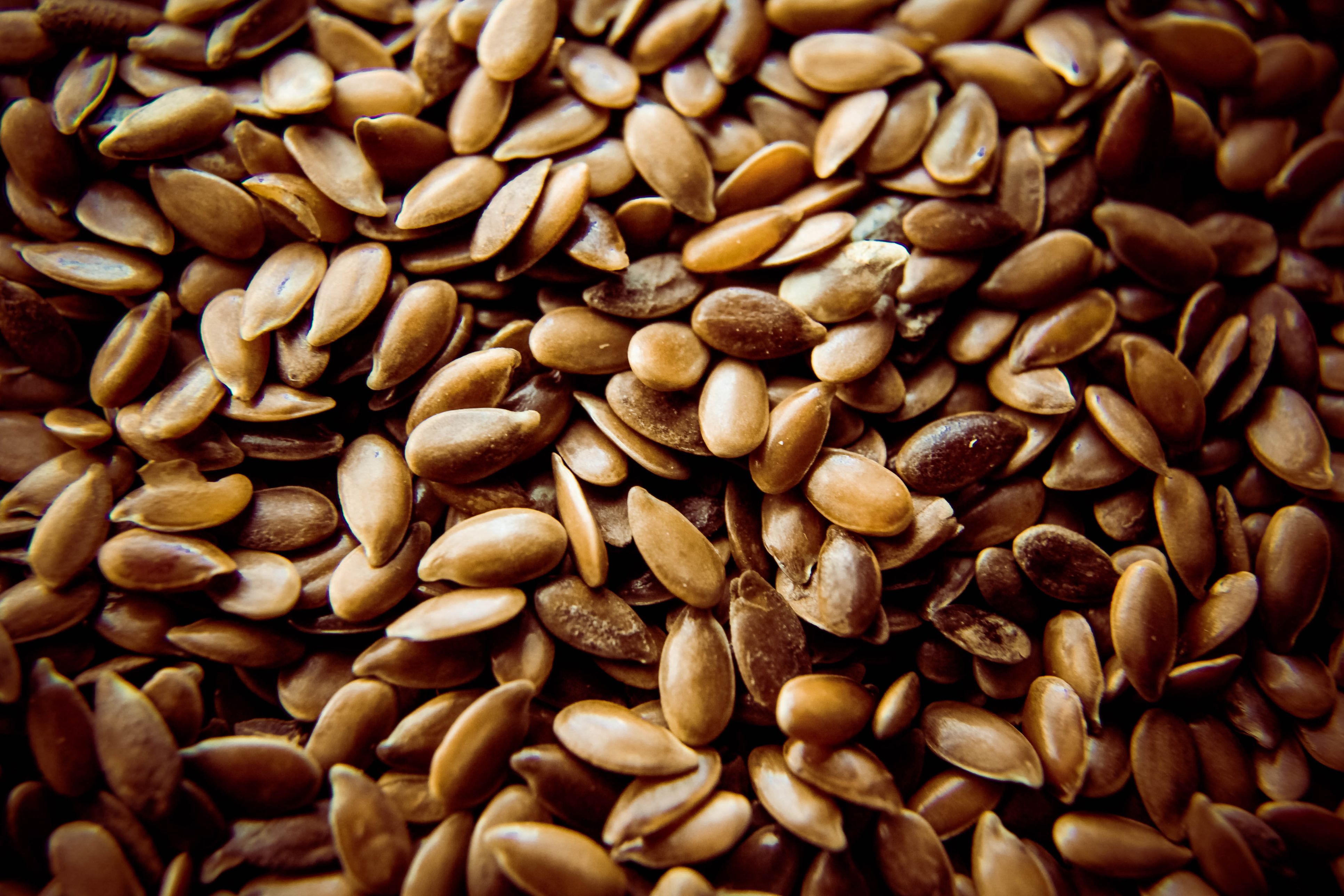 Seeds